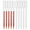 Pasteur Pipette [100]